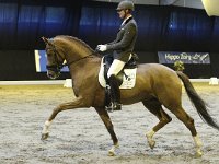 Chagall D-R 201113_1427